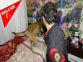Başka bir açıdan yine Bursa! valisi ve belediye başkanı hükümet denetiminde yine de narkotik operasyonları oluyor, BURSA'DA UYUŞTURUCU OPERASYONUNA 62 TUTUKLAMA 10.09.2021