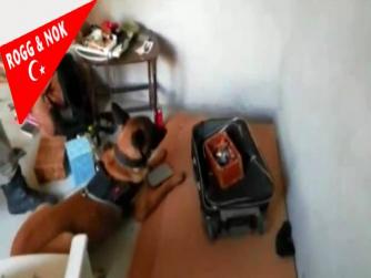 Bursa Hızlandı, Valisi ve belediye başkanı hükümetin adamları olduğu halde narkotik operasyonları durmuyor, veya durduramıyor! Tebrikler! İşte Helikopter destekli uyuşturucu operasyonunda 72 uyuşturucu satıcısı tutuklandı 11.09.2021