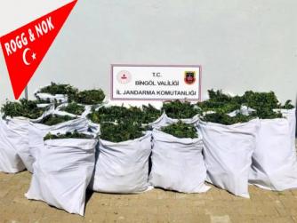 Bingöl'de uyuşturucu operasyonu: 4 gözaltı 11.09.2021