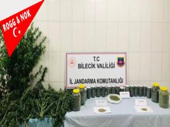 Bilecik'te uyuşturucu operasyonunda yakalanan 2 şüpheli tutuklandı 13.09.2021