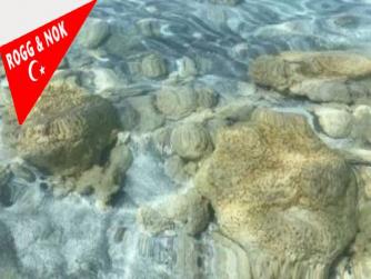 NASA ve Türkiye deki salda gölü