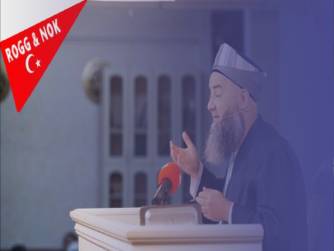 CÜBBELİ AHMET, MEB VE İLAHİYAT FAKÜLTELERİ 