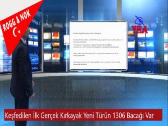 Keşfedilen İlk Gerçek Kırkayak Yeni Türün 1306 Bacağı Var