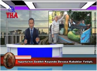 Isparta’nın Gedikli Köyünde Devasa Kabaklar Yetişti.