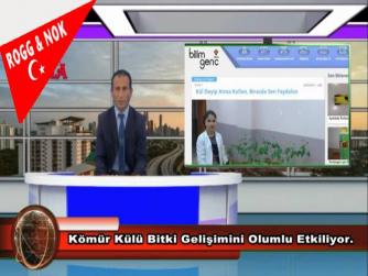 Kömür Külü Bitki Gelişimini Olumlu Etkiliyor