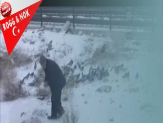 Asıl haber bu!  3-4 senedir yaz kış orada olan bir havan dostu insan oğlu insan. Evet, bir insan karşımızda işte : Çöpten topladığı ekmeklerle sokak hayvanlarını besliyor...