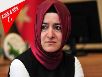 Barış Terkoğlu: Karı bırak, yağan kâra bak!