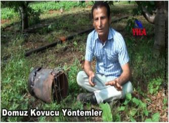 Domuz Kovucu Yöntemler