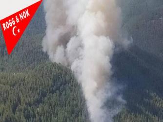Ne demiştik;Niye hafta sonları! 