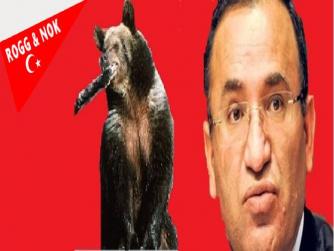 Boz ayı nerede bulunur? Hatırlarsanız bir zamanlar FETÖ liderini mecliste savunan bir kişilik olan daha sonra adalet sekreteri olan, birazda avukat olan Bozdağ: Ekrem İmamoğlu hakkında kesinleşmiş hapis ve siyasi yasak yok
