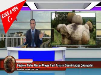 Büyüyen, Nefes Alan Ve Üreyen Canlı Taşların Gizemini Açığa Çıkarıyorlar