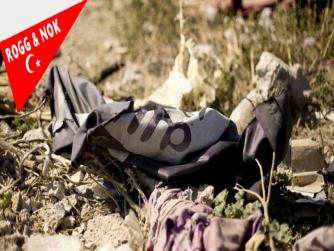Suriye'deki Kürt yönetimi, cezaevlerindeki IŞİD'lileri kendi mahkemelerinde yargılama kararı aldı