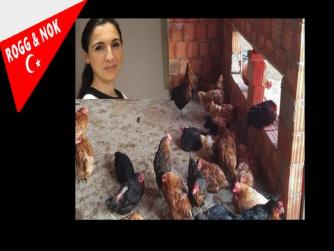 ABD Vatandaşı ve yine ABD'de bir bankanın iflasına sebebiyet veren Kişi, Şimdi Merkez Bankası Başkanı ve utanmadan Twitter hesabı açıklandı...