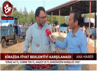 Gediklide Kiraz Beklentiyi Karşılamadı