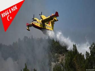 Batı Trakya'daki orman yangını AB tarihinin en büyüğü
