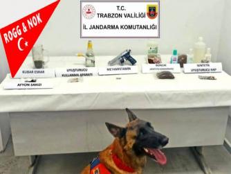 Trabzon'da Jandarma Operasyonunda Uyuşturucu Maddeler Ele Geçirildi