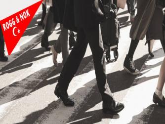 Arnavutluk'ta 3 Bin Polisin Katıldığı Uyuşturucu Operasyonunda 233 Kişi Gözaltına Alındı