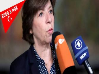 Fransa'dan Türkiye ve Macaristan'a İsveç çağrısı