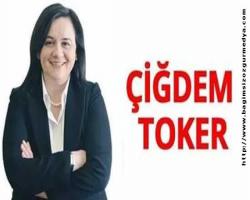 Çiğdem Toker: Kitlesel tasfiye