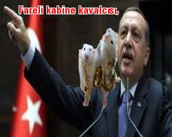 Fareli kabine kavalcısı, Erdoğan'dan ilk açıklamalar