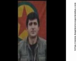 Narko-terör örgütü PKK'nın Tendürek sorumlusu ve bizim siyasi yönetimin yakın dostu öldürüldü mü?   