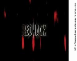Öğle saatlerinde, RedHack: Hiçbir üyemiz yakalanmamıştır, savaşacaksanız buradayız mesajı geldi...