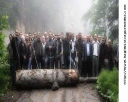 Rize İdare Mahkemesi'nden Cerattepe için 