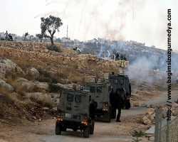 AA kameramanı Ramallah'ta vuruldu