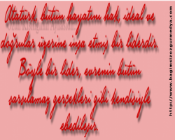 Serendip Altındal: BU NEYİN RUHU?..