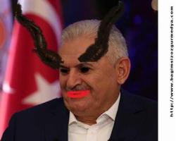 Göle 15 Temmuz'da maya çalındı, cacık oldu, şimdi hıyarları doğruyorlar birazda maydanoz koydular...