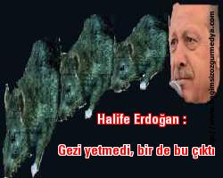 Halife Erdoğan: Gezi yetmedi, bir de bu çıktı