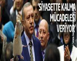 'Fareli Kabinenin zurnacısı  siyasi hayatta kalma mücadelesi veriyor'