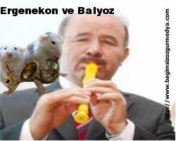 Ergenekon ve Balyoz