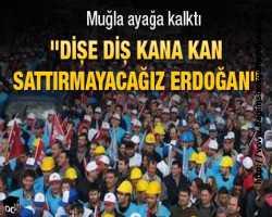 Dişe diş kana kan...