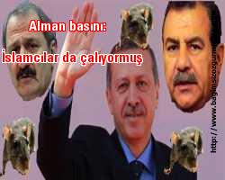 Alman basını: İslamcılar da çalıyormuş