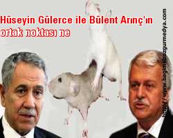 Hüseyin Gülerce ile Bülent Arınç'ın ortak noktası ne...