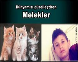 Acımasız cellâtlar, bu kez de Urfa Viranşehir’de melek yüzlü, altın kalpli bir yavrumuzu katletti