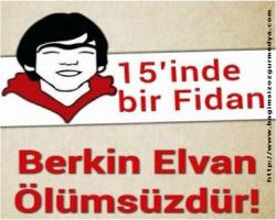 Berkin Elvan: Halkın Bağrından Kopan Bir Fidan