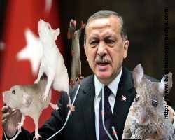 Halife yolsuzluğu itiraf mı etti?
