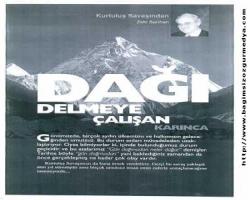 DAĞI DELMEYE ÇALIŞAN KARINCA