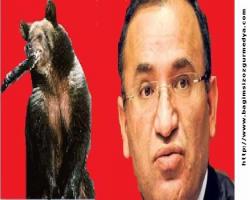 AKP o hakimleri de ihraç etti