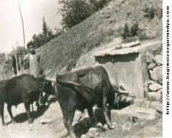 ÖTEKİ EVİN MUSTAFA’SI