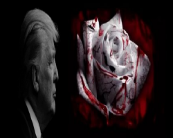 Dünyanın içine okumak için hazırlana Trump, İklim Anlaşmasıyla İlgili Kararını Bugün Açıklıyor...