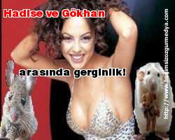 Hadise ve Gökhan arasında gerginlik!