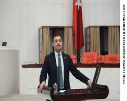GELİN, BU SEVDADAN VAZGEÇİN