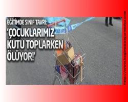 'Çocuklarımız kutu toplarken ölüyor!'