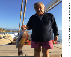GÖKOVA NEREYE GİDİYOR?