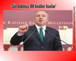'Süt dökmüş AK kediler bunlar'