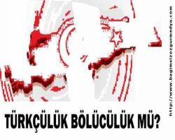 Mehmet Necati GÜNGÖR: TÜRKÇÜLÜK BÖLÜCÜLÜK MÜ?