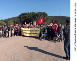 Burası Tayyipistan; Boş işlere bakandan 'ormana ihanet, yandaşa kıyak' itirafı... 